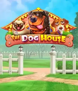 From Pragmatic Play comes The Dog House Slot, offering a fun-filled journey through charming canines. Enjoy gameplay elements including free spins, designed for providing joyful moments. A must-try for those who enjoy a cheerful theme with a chance for big wins.