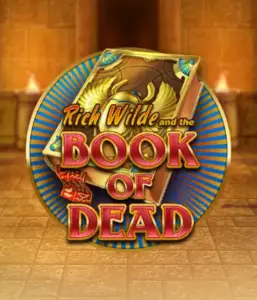 Dive into the thrilling world of Book of Dead Slot by Play'n GO, showcasing vivid graphics of Rich Wilde’s adventurous journey through ancient Egyptian tombs and artifacts. Uncover lost riches with captivating mechanics like free spins, expanding symbols, and a gamble option. Ideal for adventure seekers with a desire for exciting finds.